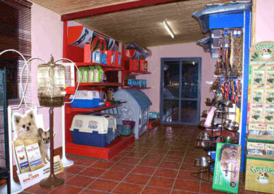 Residencia canina y felina 6