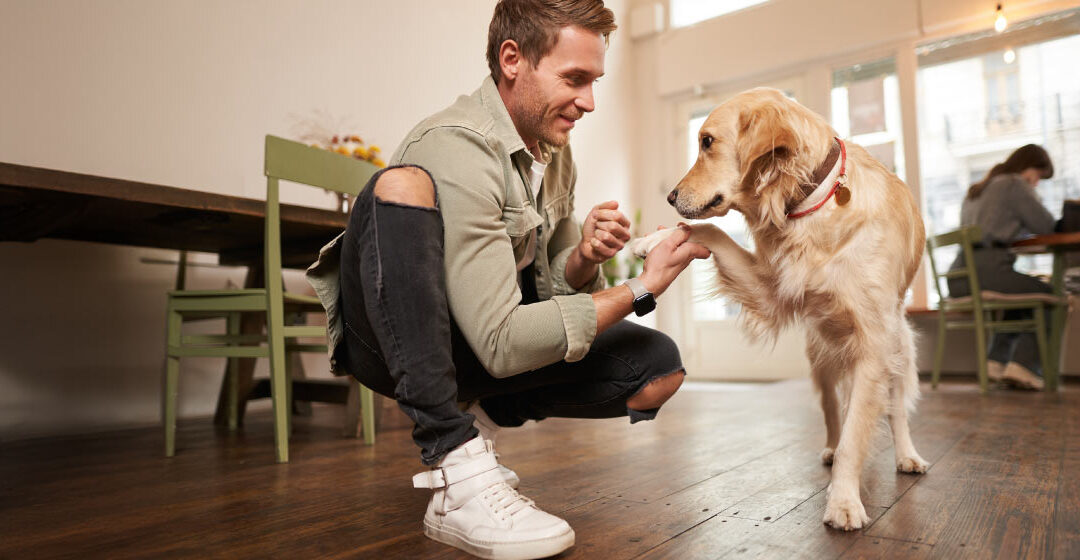 Ideas de juegos y ejercicio en casa para días de lluvia o frío