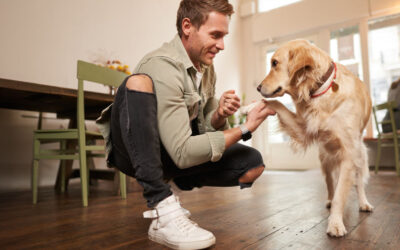 Ideas de juegos y ejercicio en casa para días de lluvia o frío