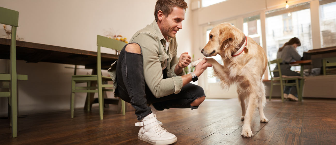 Ideas de juegos y ejercicio en casa para días de lluvia o frío